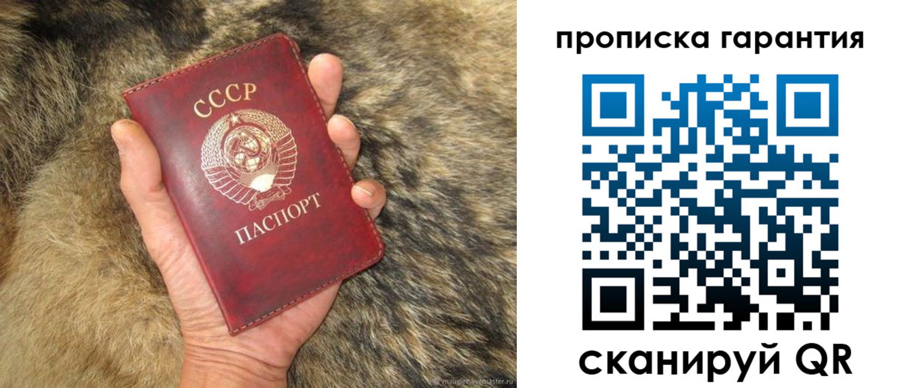 временная регистрация гарантия в Котово